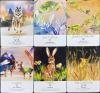Spirit Animal Wisdom Cards