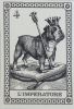 I Cani Del Mondo Tarot (Dogs Tarot)