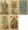 Medieval Fortune Telling Cards