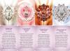 Pocket Crystal Mandala Activation Cards