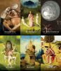 Hieronymus Bosch Tarot