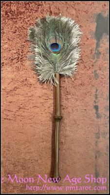Peacock & Ostrich Feather