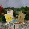 Green Glyphs Tarot, Runes, Oracle & Lenormand Complete Set