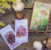 Mushroom Spotter's Deck: A Field Guide To Fungi & Their Age-Old Wisdom