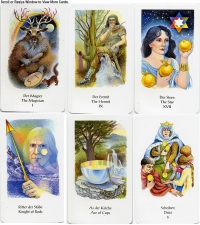 Tarot Of Northern Shadows Deck/book Set