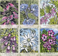 Australian Wildflower Reading Cards