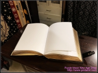 Books of Shadows Leather w/Alchemy