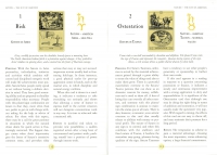 Oracle Of The Radiant Sun: Astrology Cards To Illuminate Your Life