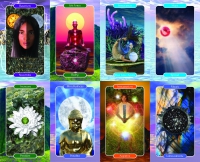 The Crystal Ally Cards: Evolution Edition Cards & Book Boxed Set