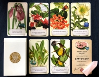Inner Garden Oracle Cards