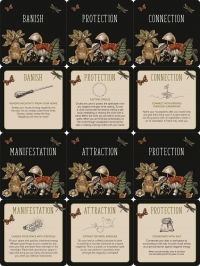 Everyday Spells for Busy Witches (Deck of 50 Insight Cards)