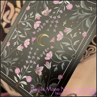 Moon Witch Tarot Black Box edition