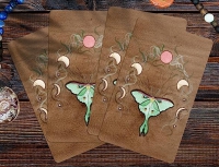 Oracle Of Great Mystics