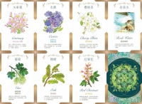 巴哈花精情緒指引卡：花仙子帶來的38封信───個別指引與練習（精裝書盒+38張花精指引卡+卡牌收藏袋+說明書）