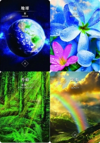 自然神諭占卜卡：召喚自然靈的神聖能量，聆聽古老智慧的啟示與指引 (Messages from the Spirits of Nature Oracle)