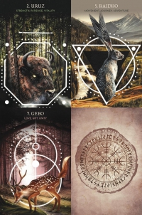 Animal Guide Rune Cards