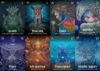 Shamanic Oracle: Connect To The Medicine Of The Earth