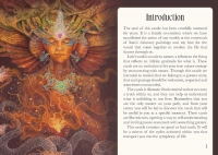 Shamanic Oracle: Connect To The Medicine Of The Earth