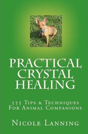 Practical Crystal Healing : 555 Tips & Techniques for Animal Companions
