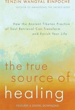 The True Source of Healing : How the Ancient Tibetan Practice of Soul Retrieval Can Transform and Enrich Your Life