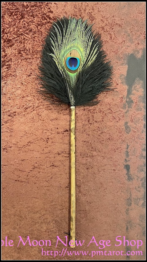 Peacock & Ostrich Feather