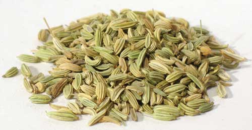 Fennel Seed