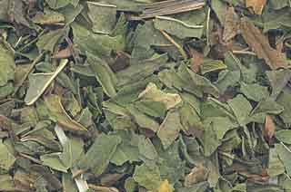 Peppermint Leaf Cut
