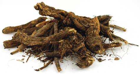 Golden Seal Root Cut