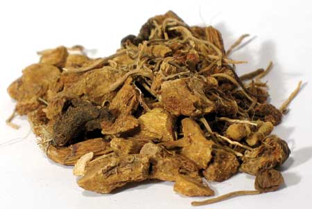 Solomon Seal Root Cut