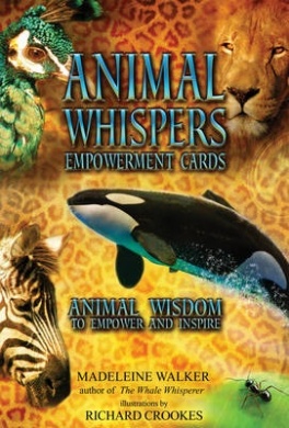 Animal Whispers Empowerment Cards By Madeleine Walker