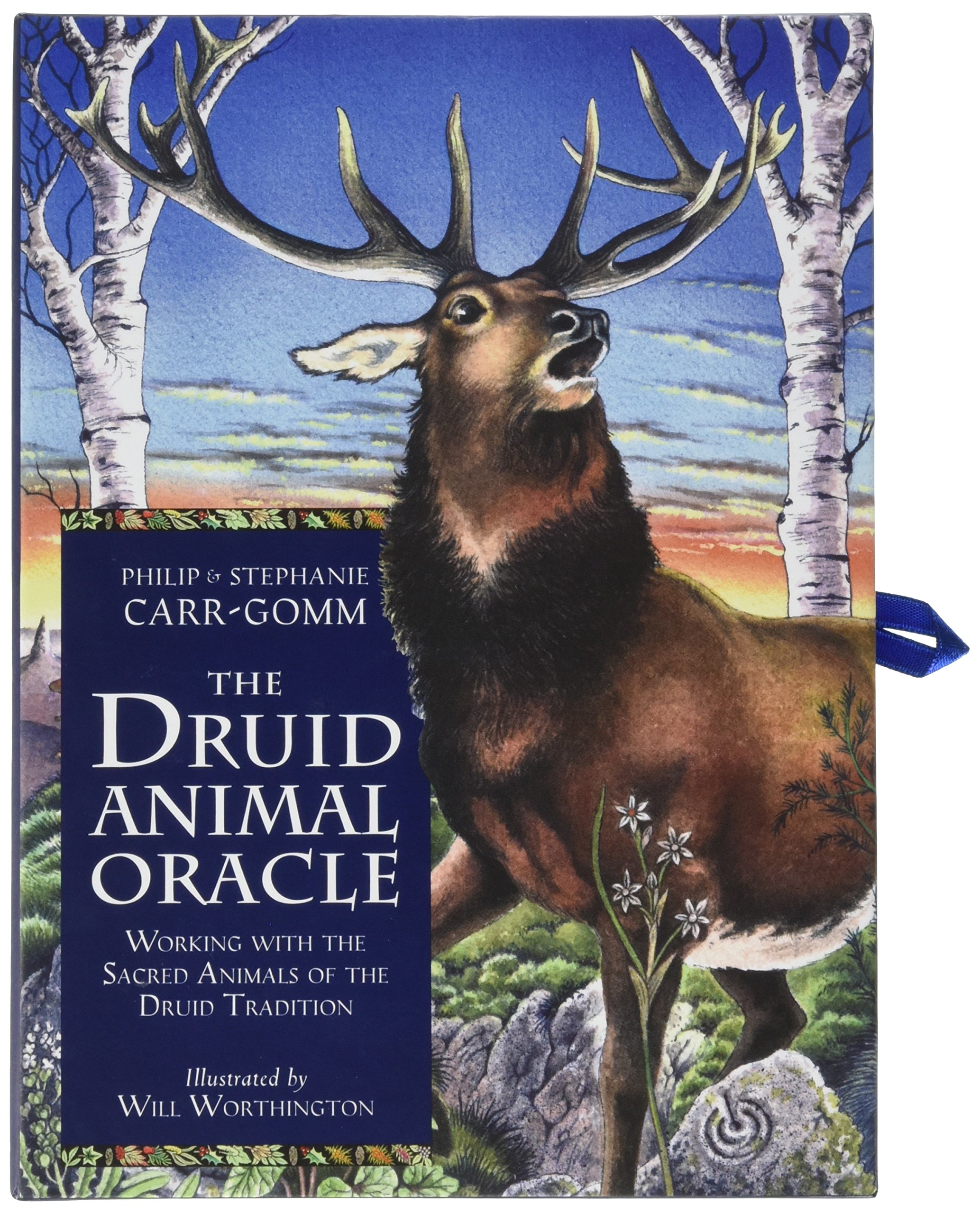 The Druid Animal Oracle Book & Deck
