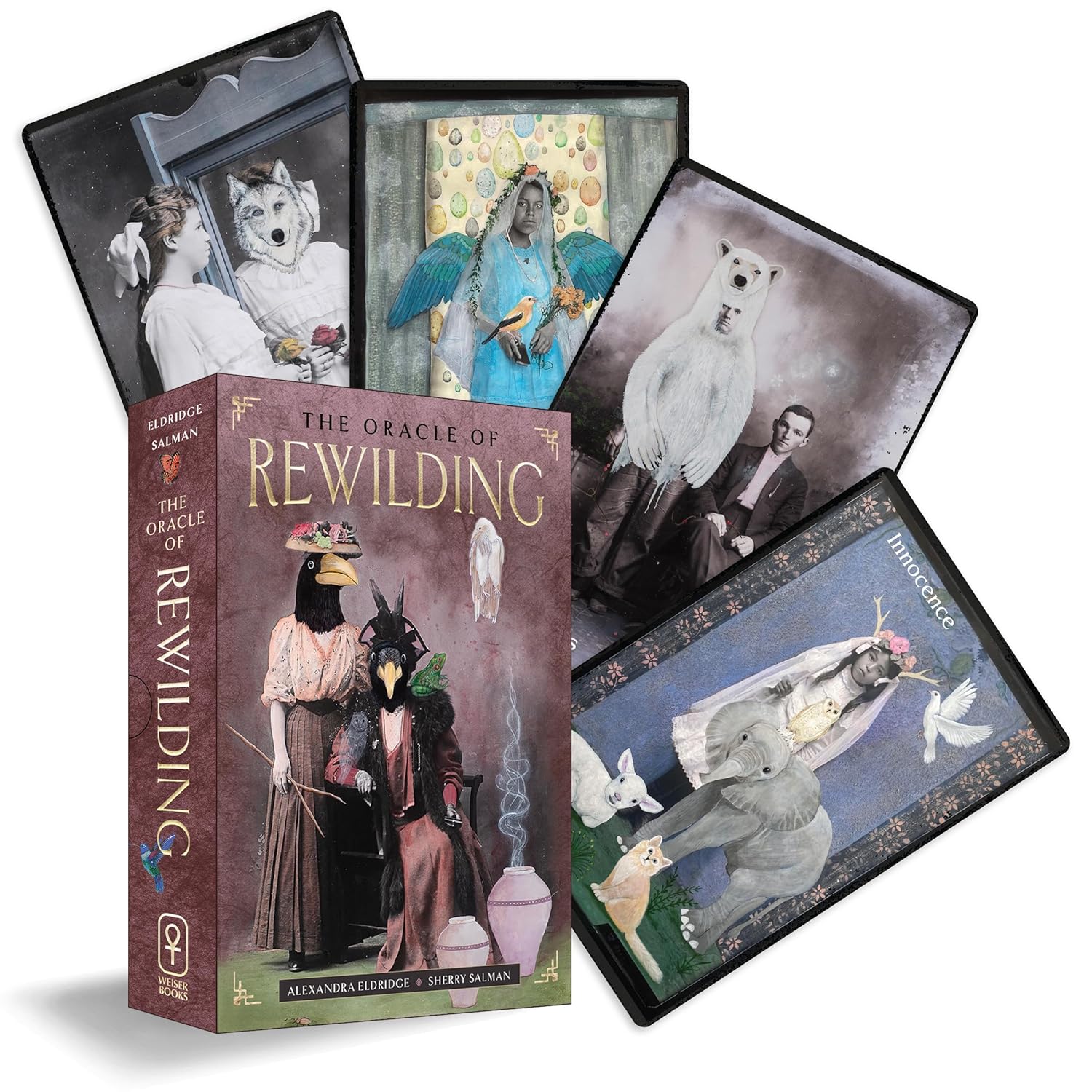 The Oracle Of Rewilding: Pathways To Renewing Our Kinship With All Things