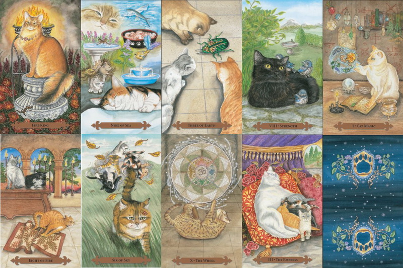 Tarot Cards - Mystical Cats Tarot