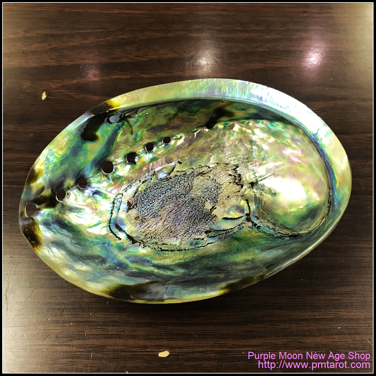 Abalone Shell Burner